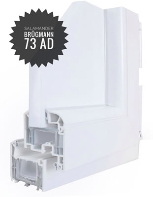 salamander_brgmann_ad_73 salamander_brgmann_ad_73